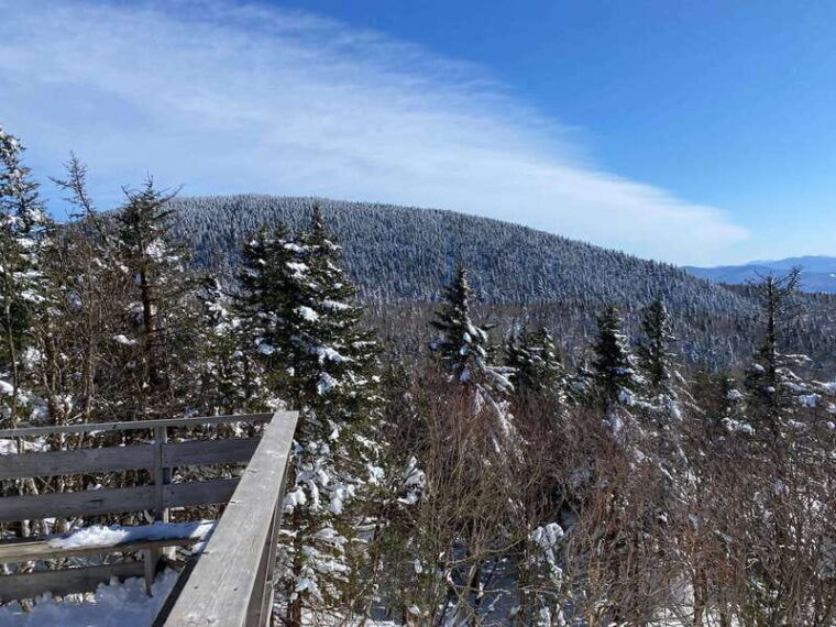 montreal-canadian-forest-guided-tour-by-snowmobile