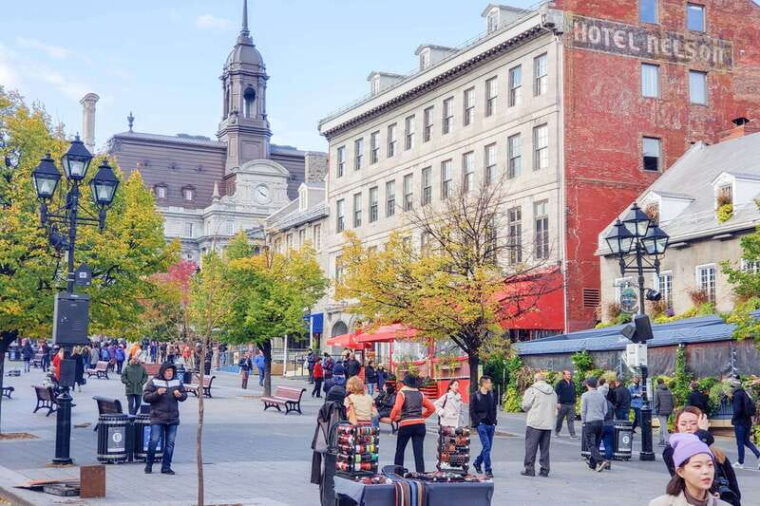 montreal-guided-bus-tour