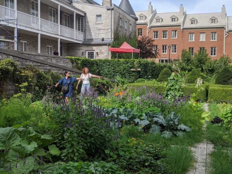 montreal-private-customizable-walking-tour-of-old-montreal