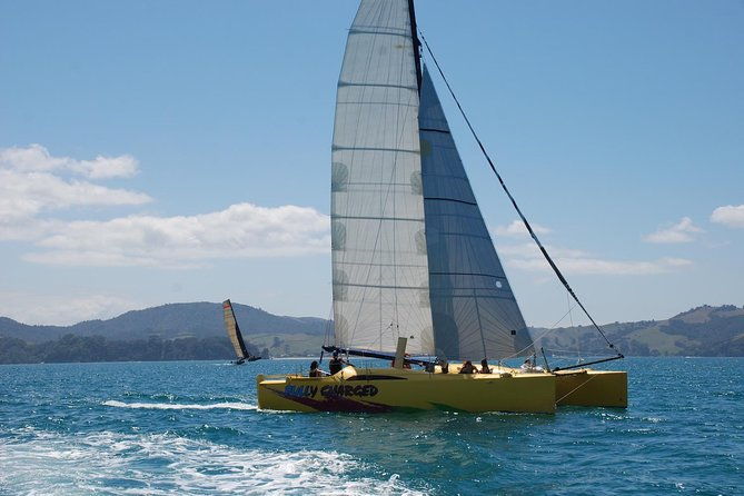 Morning Glory Chilled out Sail (3.5hrs) - Who Is This Tour Best For?