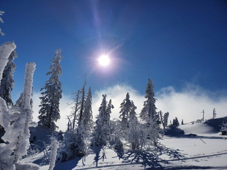mount-arber-snowshoeing-in-the-bavarian-forest-guided-tour