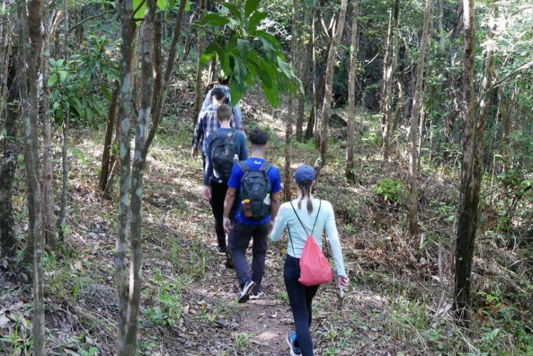my-son-sanctuary-and-mountain-trekking-pilgrimage