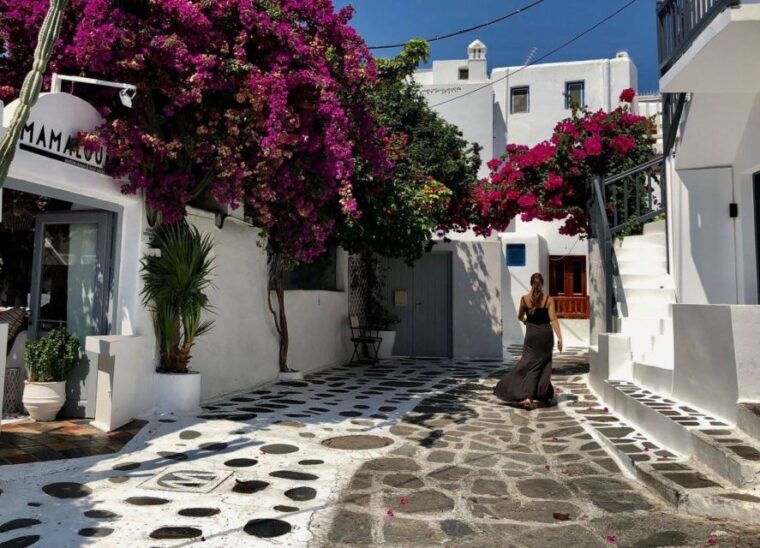 mykonos-full-day-sightseeing-tour-with-lunch