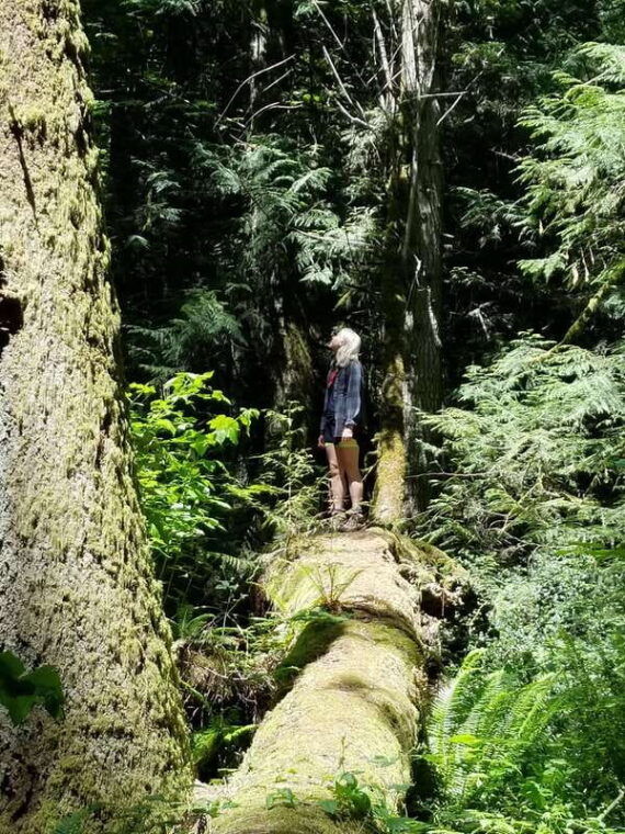 mystical-rainforest-tour-forest-magick