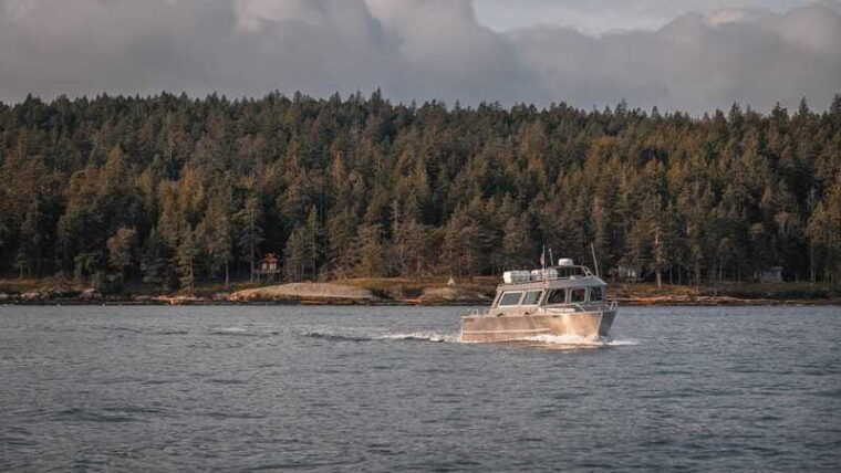 nanaimo-whale-watching-semi-covered-boat-tour