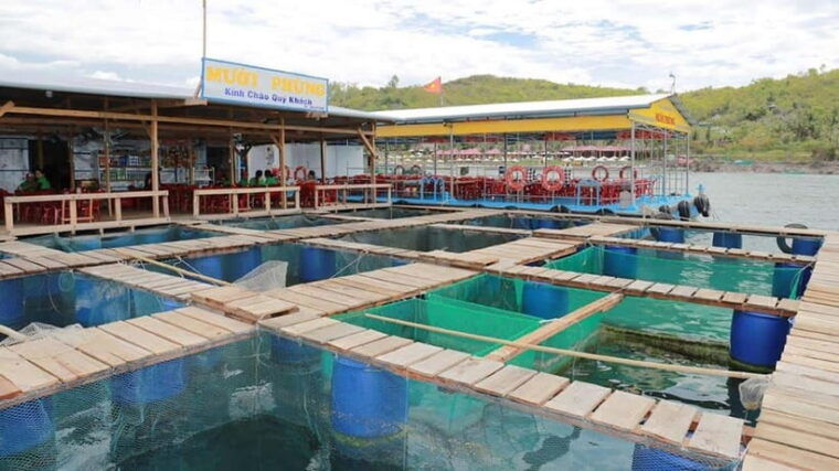 nha-trang-3-island-vip-tour