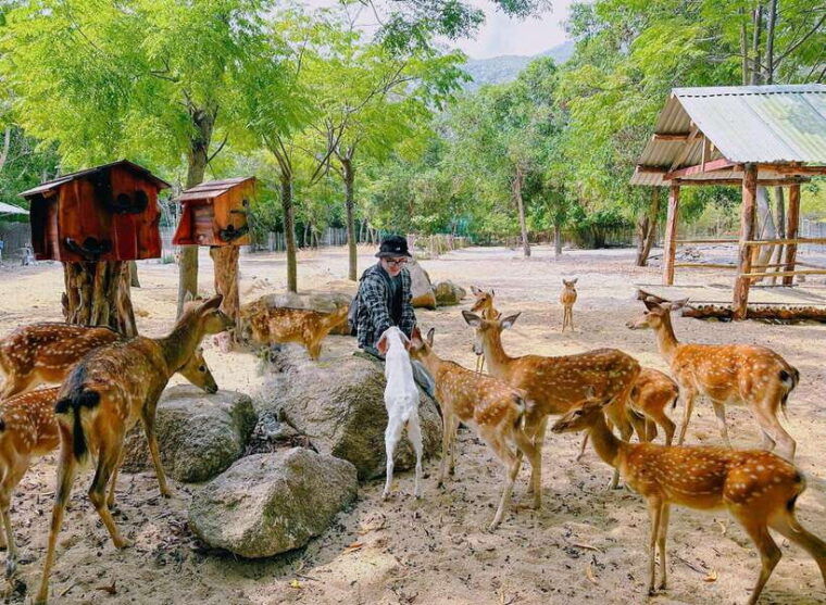 nha-trang-city-sightseeing-tour-nha-phu-bay-monkey-island