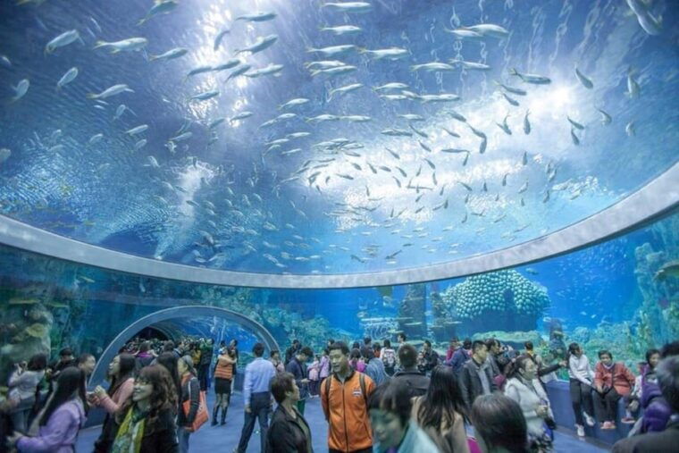 nha-trang-explore-nha-trang-city-in-a-half-day-tour