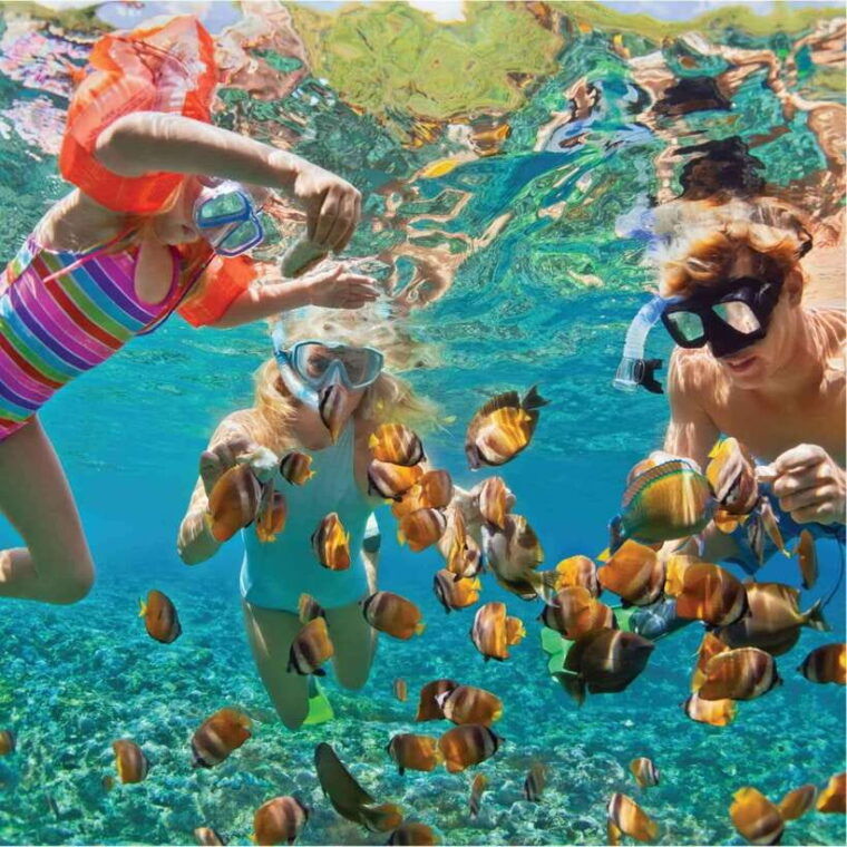 nha-trang-scuba-diving-and-eco-tourism-island-day-trip
