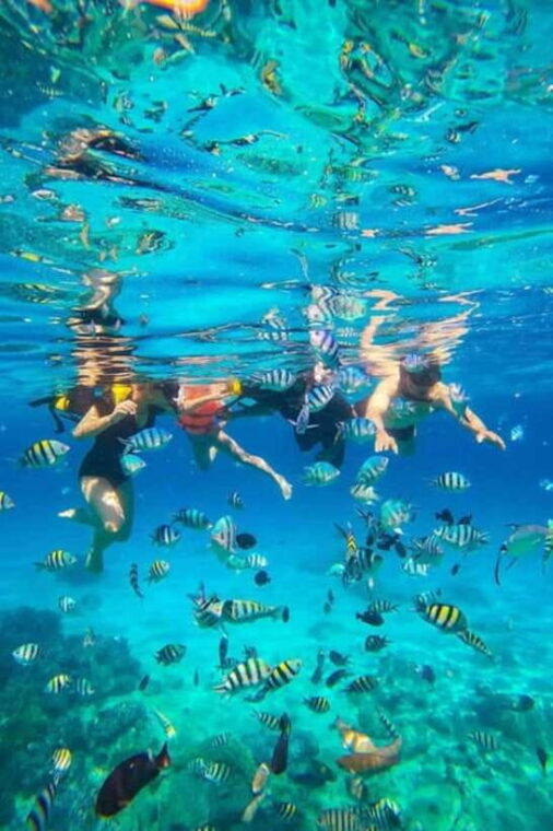 nha-trang-snorkeling-at-marine-park-and-enjoying-lunch