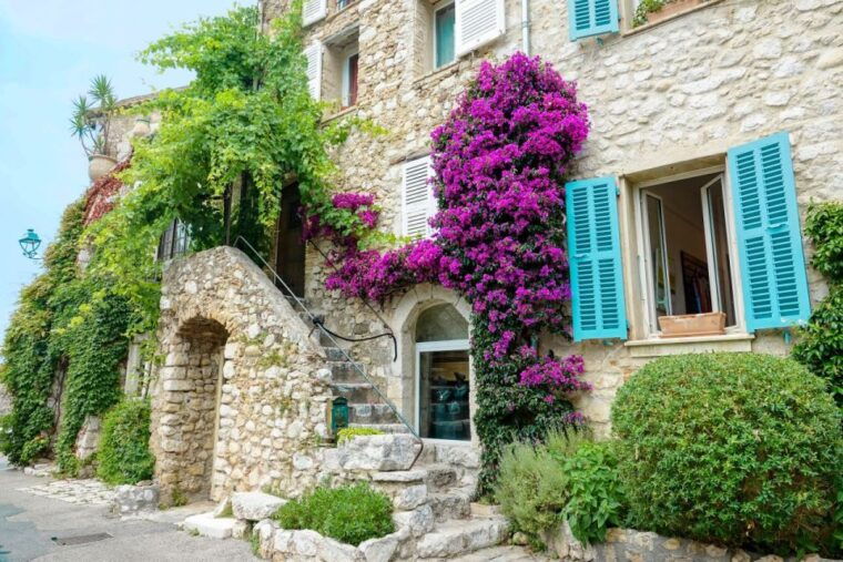 nice-cannes-antibes-st-paul-de-vence-half-day-tour