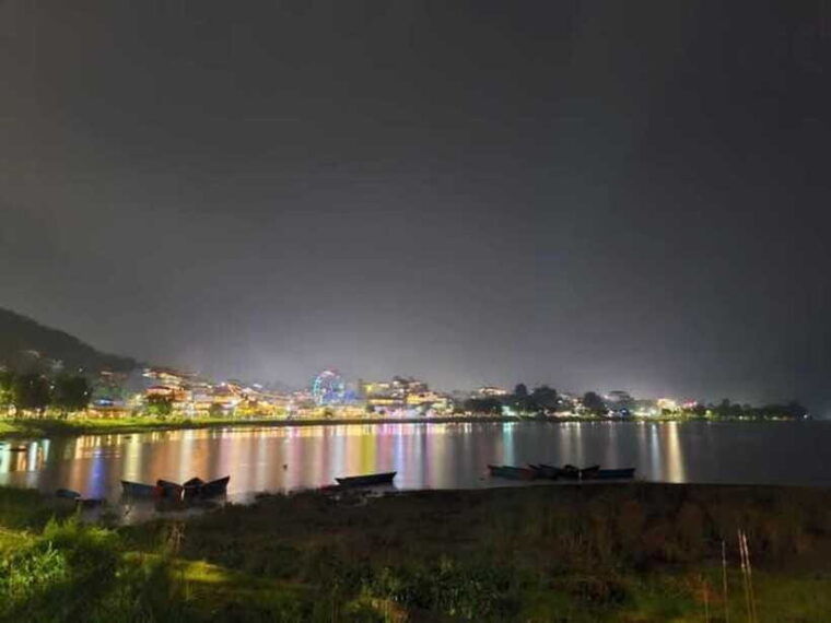 night-light-guided-tour