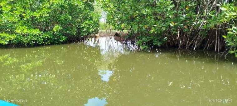 nilaveli-lagoon-boat-safari-with-mangrove-exploration