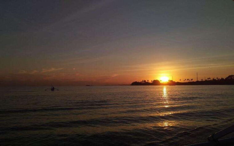 north-bali-dolphin-watching-and-snorkeling-tour