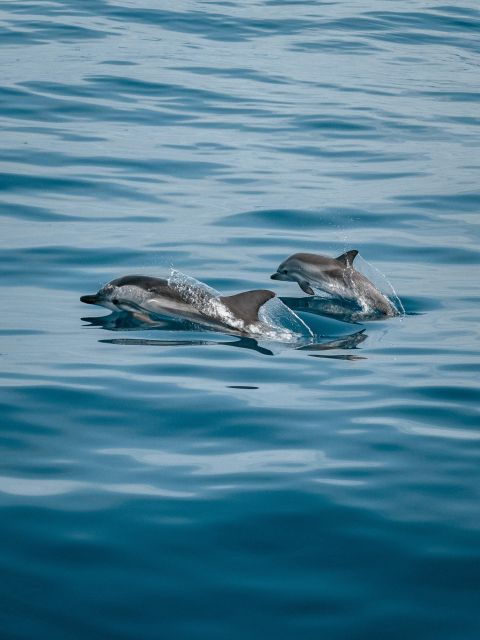 north-bali-lovina-dolphins-and-ulun-danu-temple