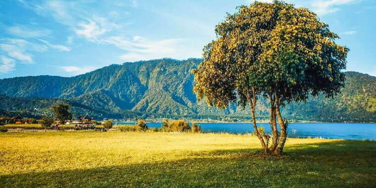 north-bali-sunrise-tour-with-dolphins-waterfalls-temples