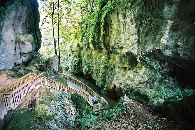 North Island Four-Day Highlights Tour from Auckland - Who Will Love This Tour?