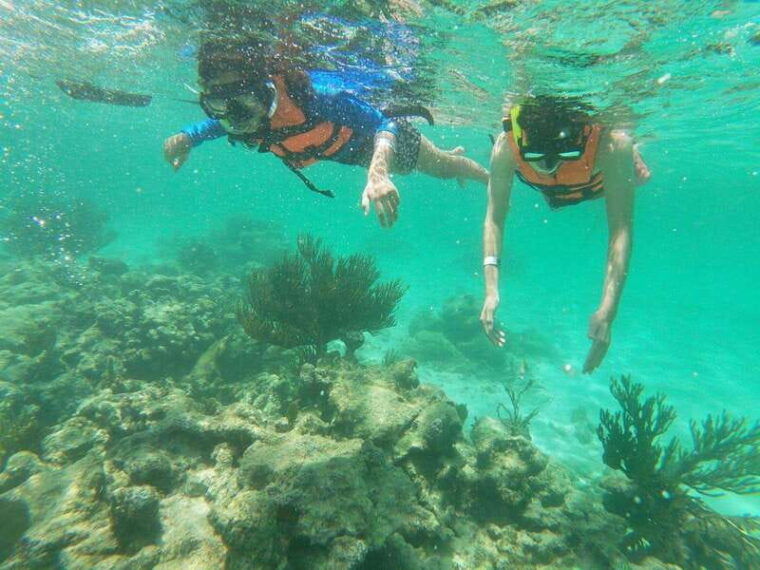 not-to-be-missed-tour-snorkeling-turtles-and-photos