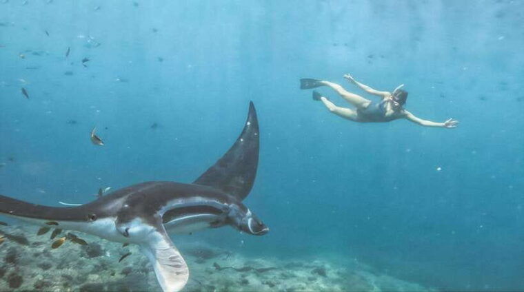 nusa-penida-island-manta-point-snorkeling-west-coast-tour