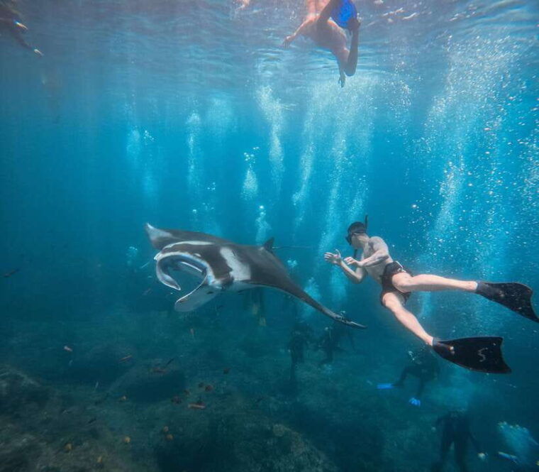nusa-penida-snorkeling-3-spots-with-gopro-west-land-tour