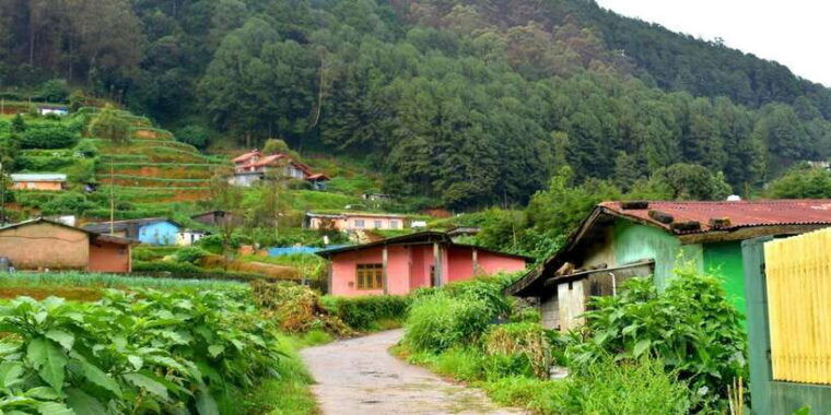 nuwara-eliya-all-inclusive-private-sightseeing-day-tour