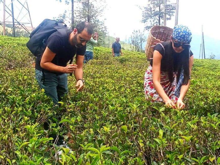 nuwara-eliya-tea-factory-and-pickle-waterfalls-tuk-tuk-tour