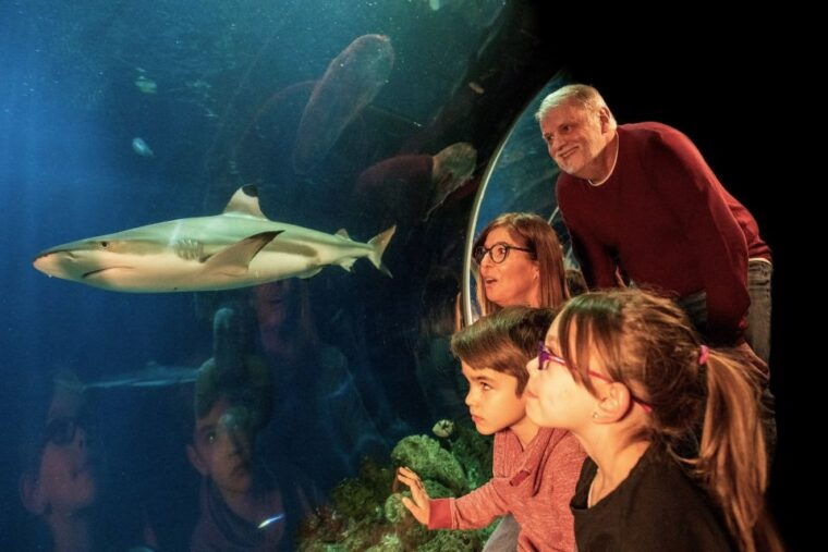 oberhausen-legoland-discovery-centre-and-sea-life-ticket