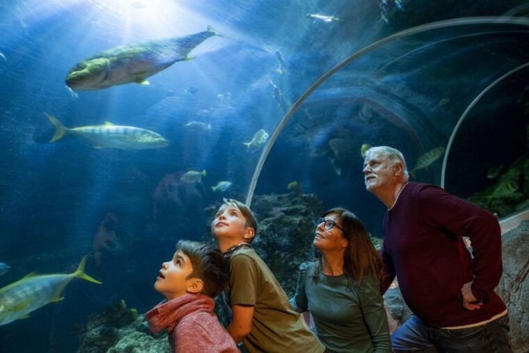 oberhausen-sea-life-ticket-and-behind-the-scenes-tour