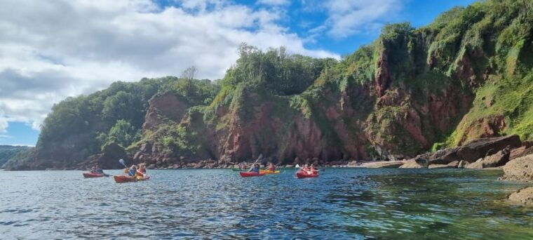 oddicombe-wildlife-bushcraft-and-sea-cave-kayak-safari