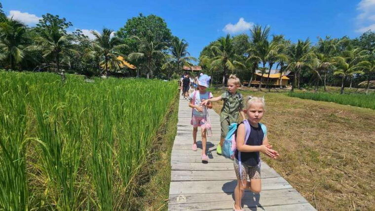 old-phuket-farm-ticket-countryside-local-life-culture