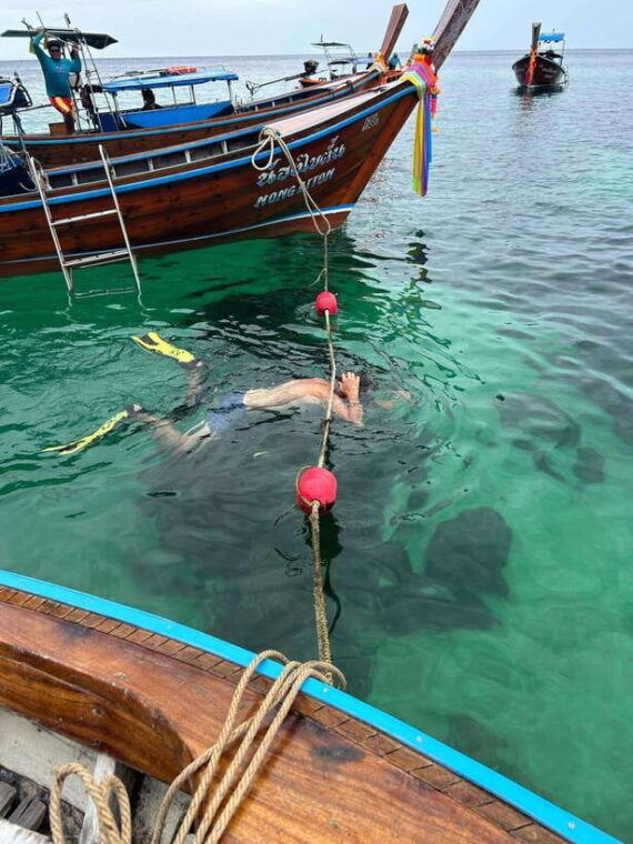 one-day-trip-join-snorkeling-program-a