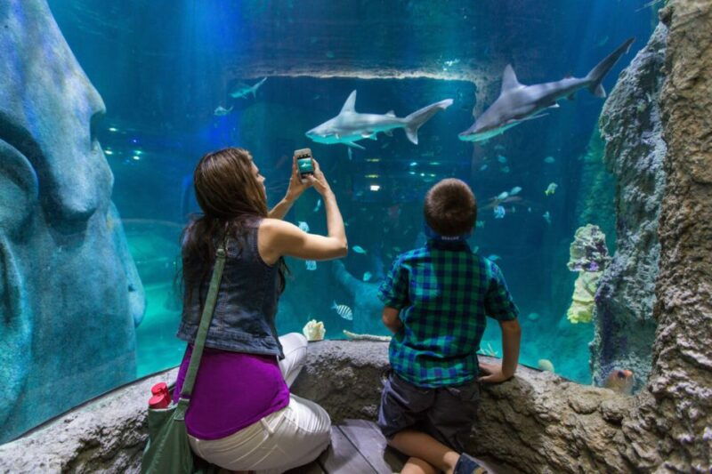 orlando-go-city-explorer-pass-choose-2-to-5-attractions