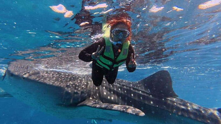 oslob-whaleshark-watching-kawasan-falls-canyoneering