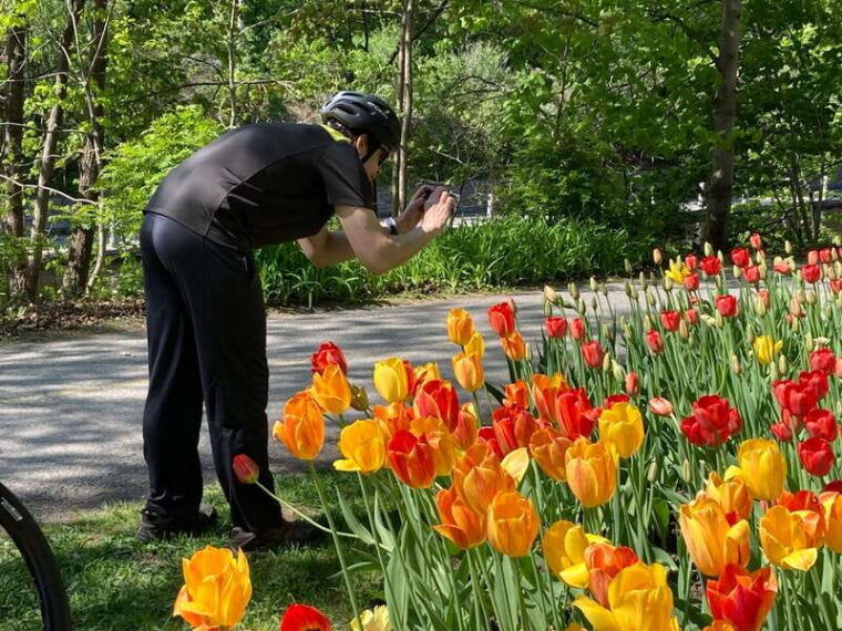 ottawa-2-or-3-5-hour-guided-bike-tour-with-a-local-guide