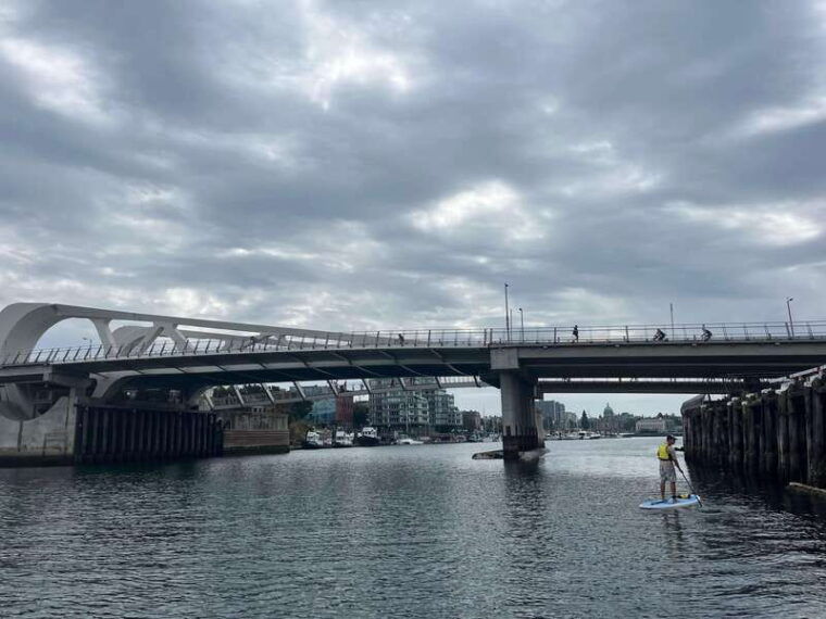 paddle-the-heart-of-downtown-victoria