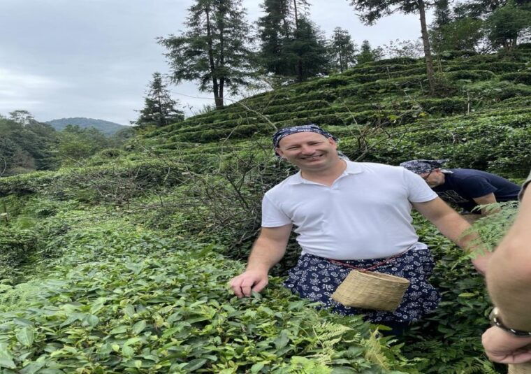 panda-and-green-tea-making-tour
