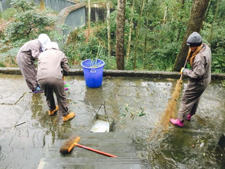 panda-volunteer-project-day-tripwolong-du-jiang-yan