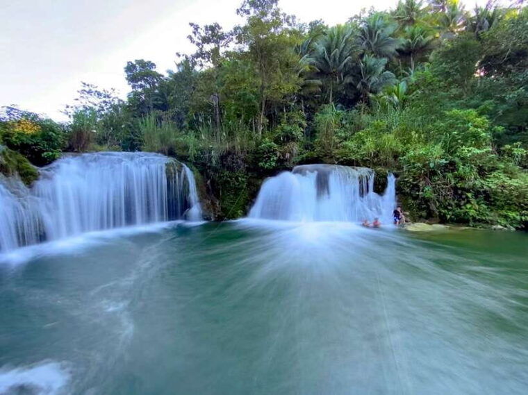 panglao-dao-forests-and-tarsier-sanctuary-tour-with-lunch