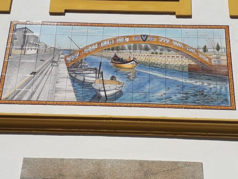 panoramic-walk-in-moliceiro-45-m-walk-in-aveiro-1-hour