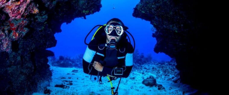 paracas-diving-dive-into-the-sea