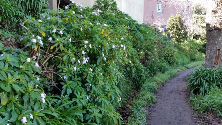 paradise-valley-half-day-morning-walk