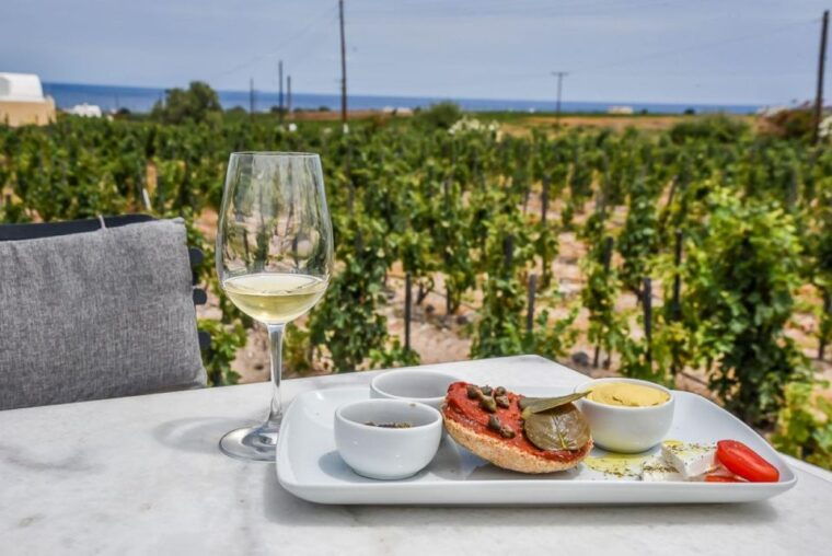 paros-wine-tour-and-tasting