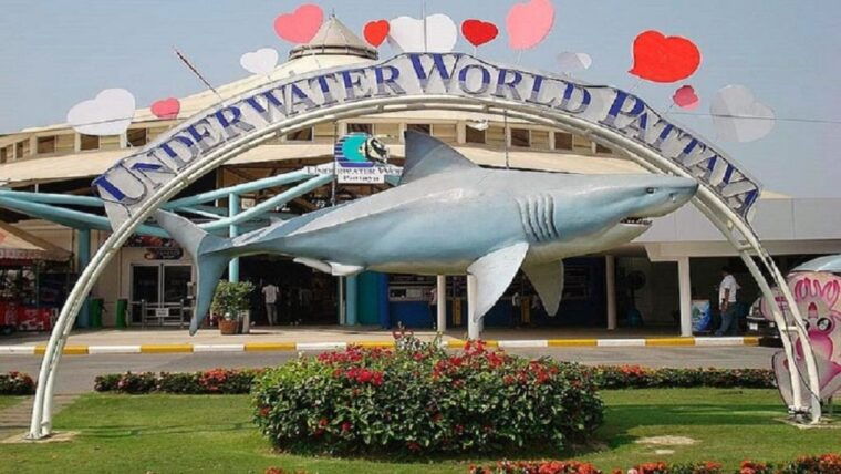 pattaya-underwater-world-pattaya-aquarium-admission-ticket