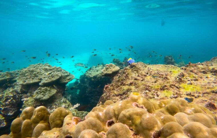 phi-phi-highlights-speedboat-tour-with-maya-bay-snorkel