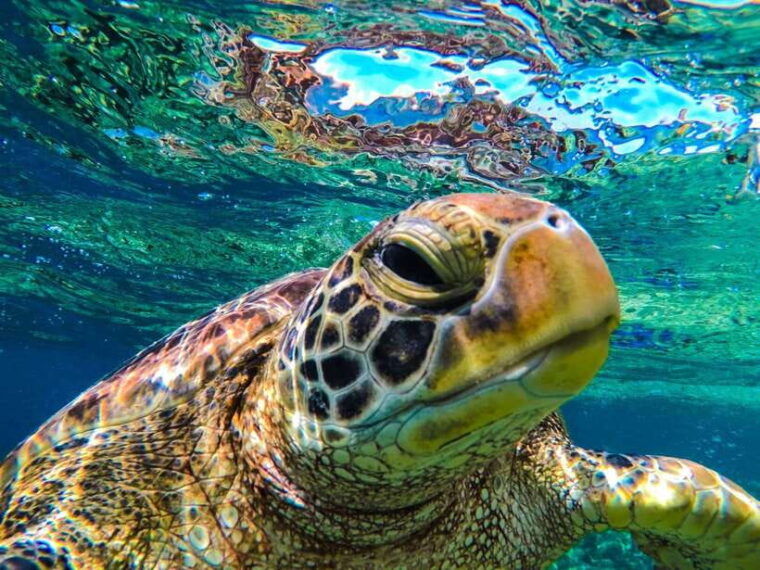 philippines-11-day-ultimate-adventure-tour