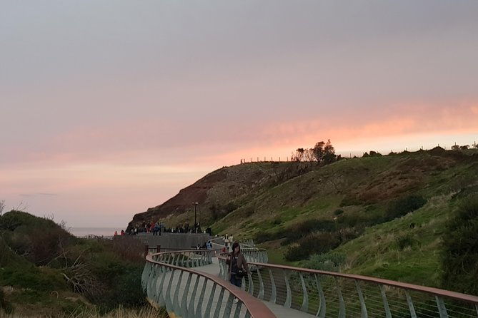 Phillip Island Private Experience - Final Thoughts: Is This Tour Worth It?