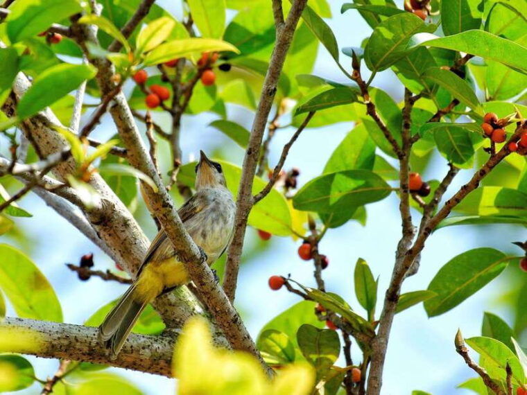 phu-quoc-hiking-tour-national-park-fishing-village
