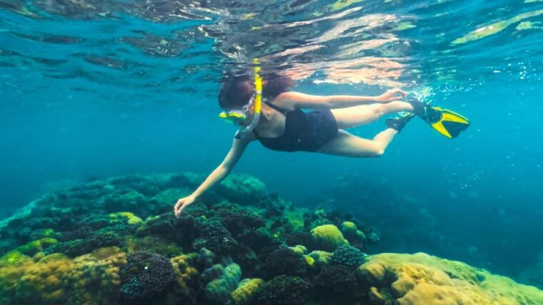 phu-quoc-snorkeling-discover-southern-northern-coral-reefs