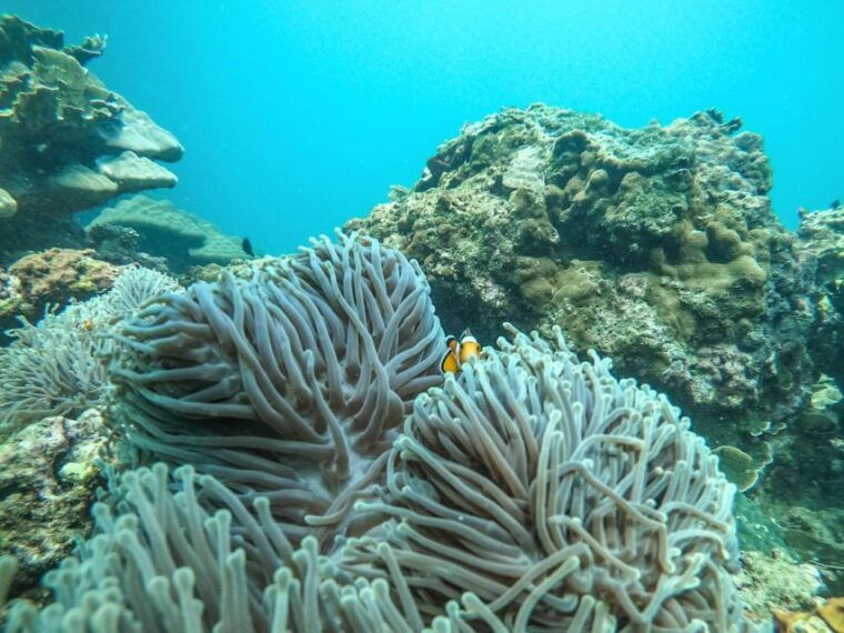 phuket-2-days-itinerary-similan-james-bond-islands-tour