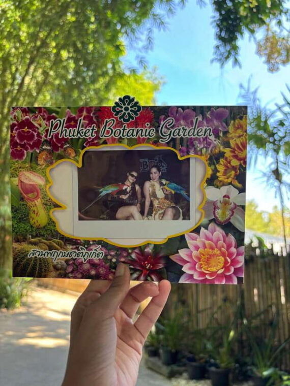 phuket-bird-park-entry-ticket